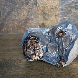 Скульптура с аммонитомАммонит в породе