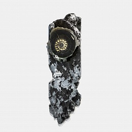 Панно с аммонитомСаксум