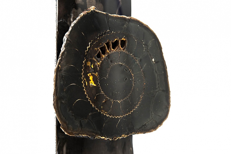 Чёрный аммонит