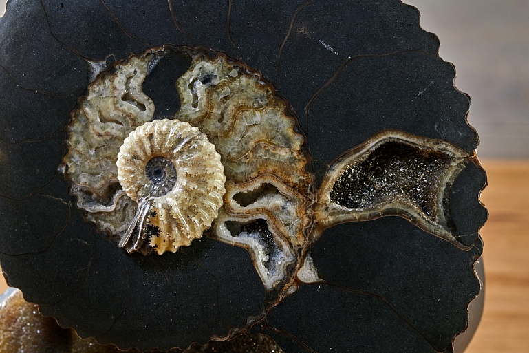 Кальцит, арагонит и пирит