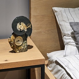 Часы с аммонитомВита